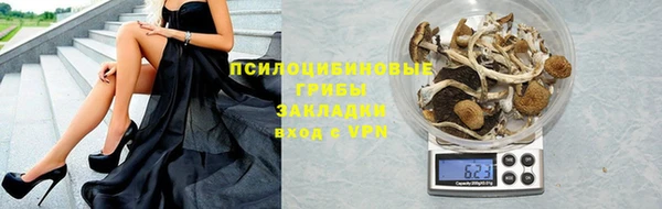 apvp Заволжье