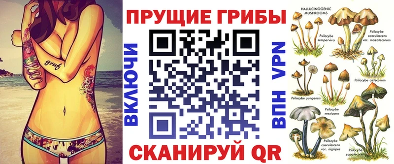 это наркотические препараты  Учалы  Галлюциногенные грибы Psilocybine cubensis 